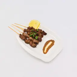 ساتي لحم